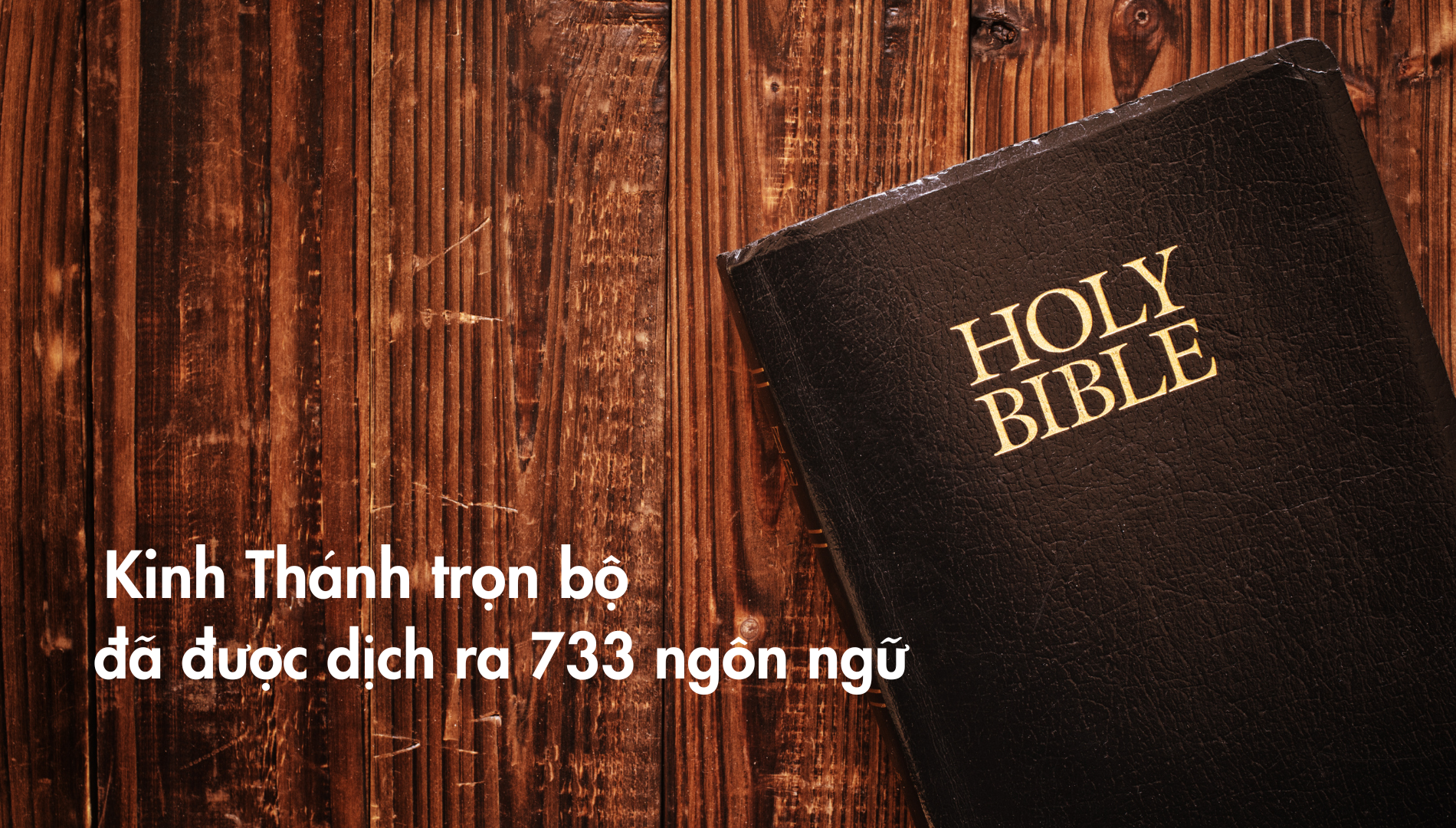 Kinh Thánh trọn bộ đã được dịch ra 733 ngôn ngữ.