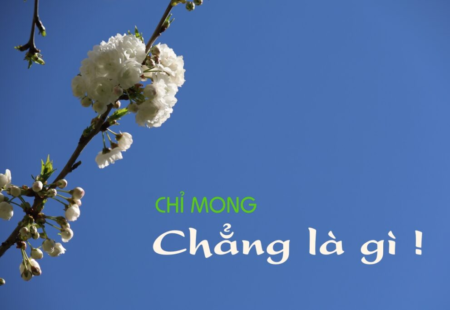 Chỉ mong chẳng là gì !