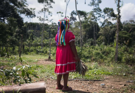 COP30 VÀ TIẾNG NÓI CỦA PHỤ NỮ TRONG VIỆC BẢO VỆ TRÁI ĐẤT