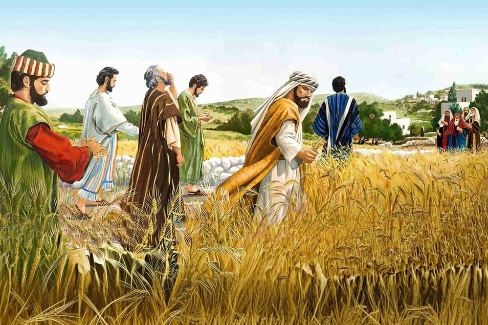 LINH HỒN CỦA LỀ LUẬT: TÌNH YÊU VÀ SỰ SỐNG