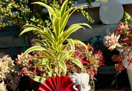 MEN ÂM THẦM VÀ KHỐI BỘT ĐANG CHỜ DẬY