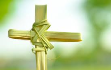 Ý NGHĨA CHÚA NHẬT LỄ LÁ