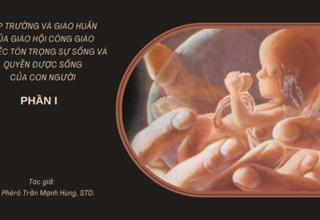 LẬP TRƯỜNG VÀ GIÁO HUẤN CỦA GIÁO HỘI CÔNG GIÁO VỀ VIỆC TÔN TRỌNG SỰ SỐNG VÀ QUYỀN ĐƯỢC SỐNG CỦA CON NGƯỜI, PHẦN 1 – TÍNH THÁNH THIÊNG CỦA SỰ SỐNG