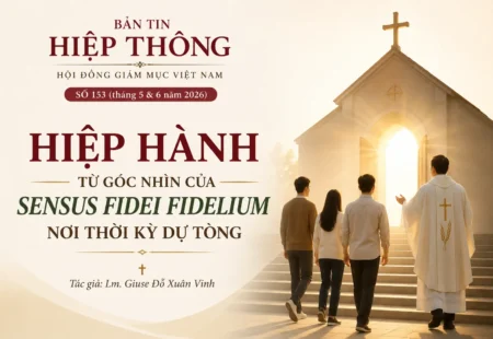 HIỆP HÀNH TỪ GÓC NHÌN CỦA SENSUS FIDEI FIDELIUM NƠI THỜI KỲ DỰ TÒNG