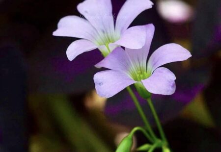 XIN ĐỪNG ĐỂ MÁY NGỒI VÀO CHỖ CỦA CON NGƯỜI