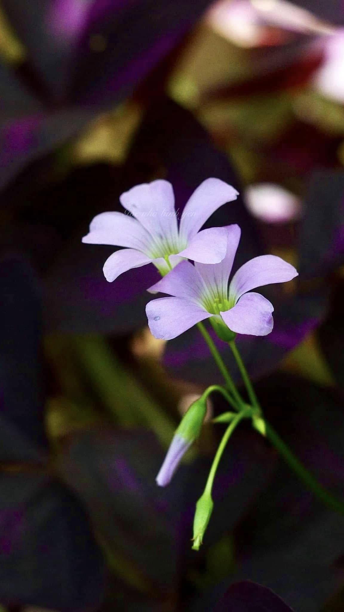 XIN ĐỪNG ĐỂ MÁY NGỒI VÀO CHỖ CỦA CON NGƯỜI