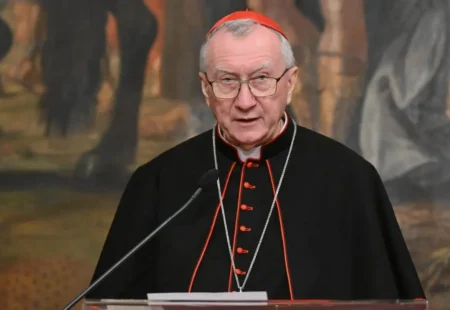 ĐỨC HỒNG Y PAROLIN: TẠI PHÁP, ĐỨC THÁNH CHA SẼ MỜI GỌI CHÂU ÂU BẢO VỆ SỐNG