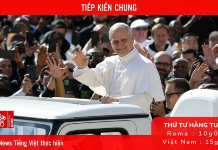 TRỰC TIẾP BUỔI TIẾP KIẾN CHUNG CỦA ĐỨC THÁNH CHA VÀO LÚC 15G00 THỨ TƯ HẰNG TUẦN