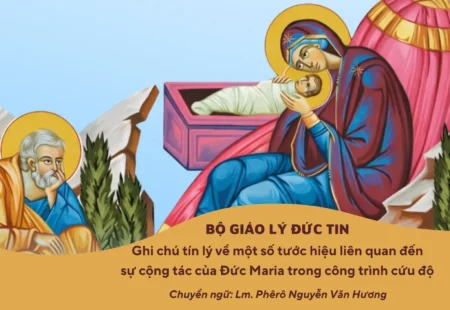 GHI CHÚ TÍN LÝ CỦA BỘ GIÁO LÝ ĐỨC TIN VỀ MỘT SỐ TƯỚC HIỆU LIÊN QUAN ĐẾN SỰ CỘNG TÁC CỦA ĐỨC MARIA TRONG CÔNG TRÌNH CỨU ĐỘ